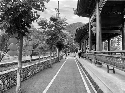 昔日落后村蝶变旅游景点永嘉黄坦村村居环境蜕变助农增产致富