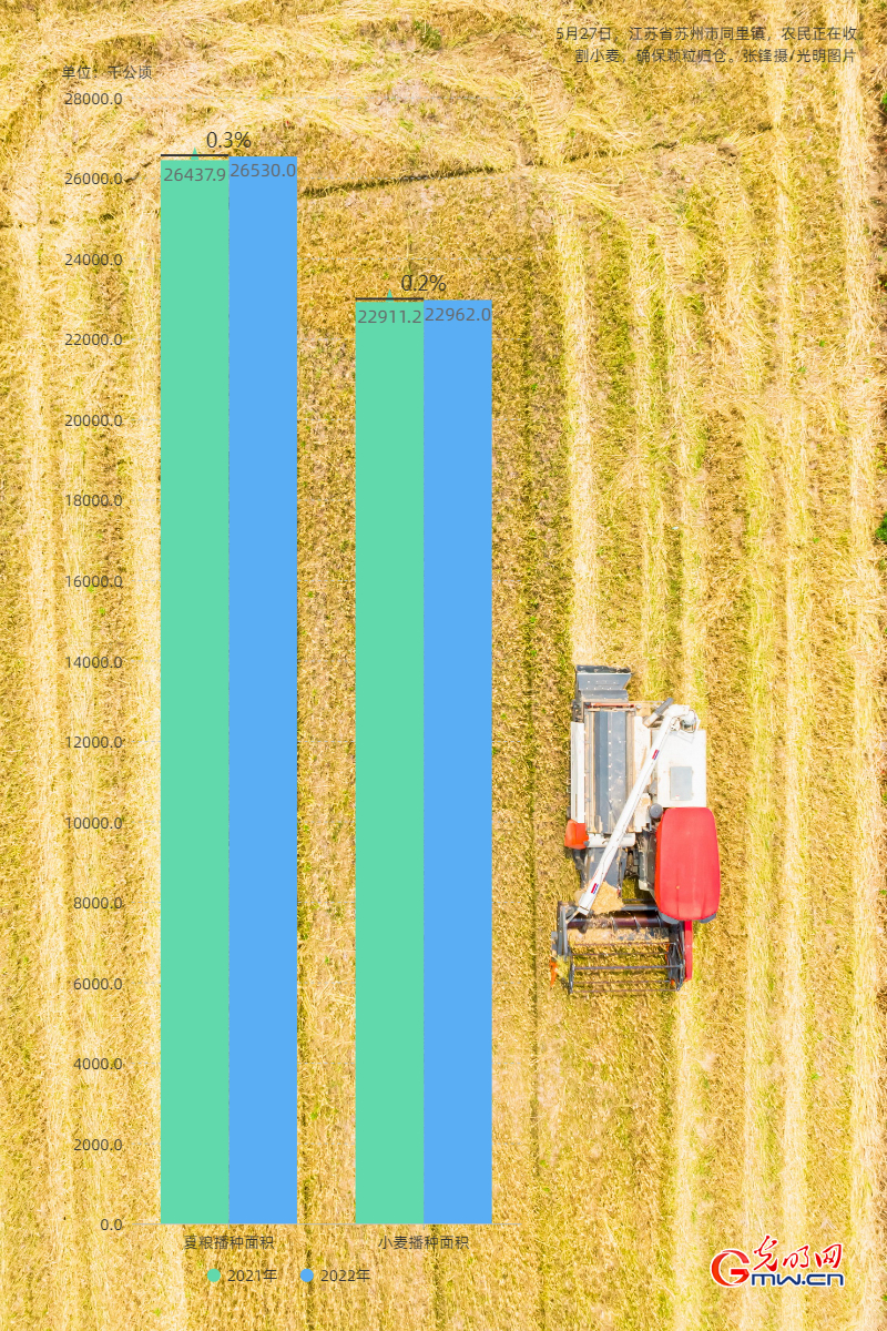 数据海报丨2022年我国夏粮生产喜获丰收:播种面积稳中略增 夏粮单产小幅提高 数据海报丨2022年我国夏粮生产喜获丰收:播种面积稳中略增 夏粮单产小幅提高