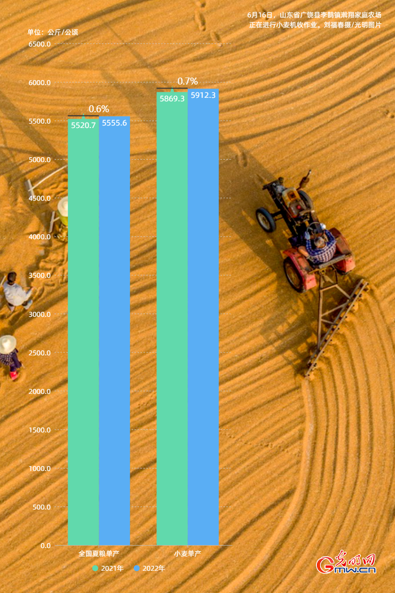 数据海报丨2022年我国夏粮生产喜获丰收:播种面积稳中略增 夏粮单产小幅提高 数据海报丨2022年我国夏粮生产喜获丰收:播种面积稳中略增 夏粮单产小幅提高