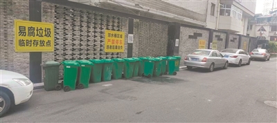 一字排开的垃圾桶，能否合理安置？