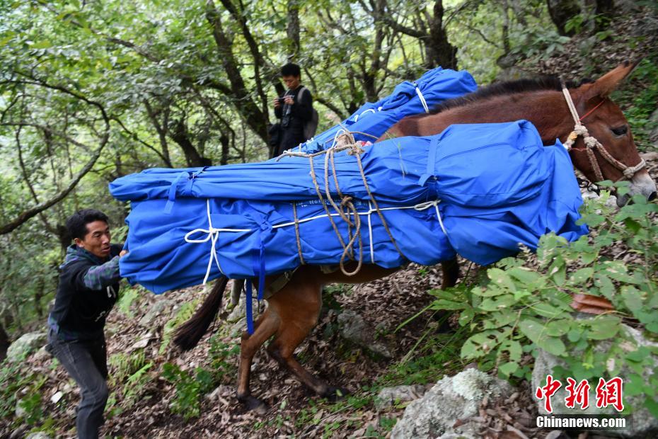 四川泸定6.8级地震：消防员、村民接力送帐篷进“孤岛”村