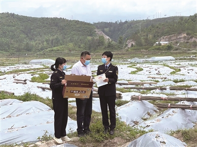 文成杨梅贡茶糯米山药特色品牌让农户丰产盈收