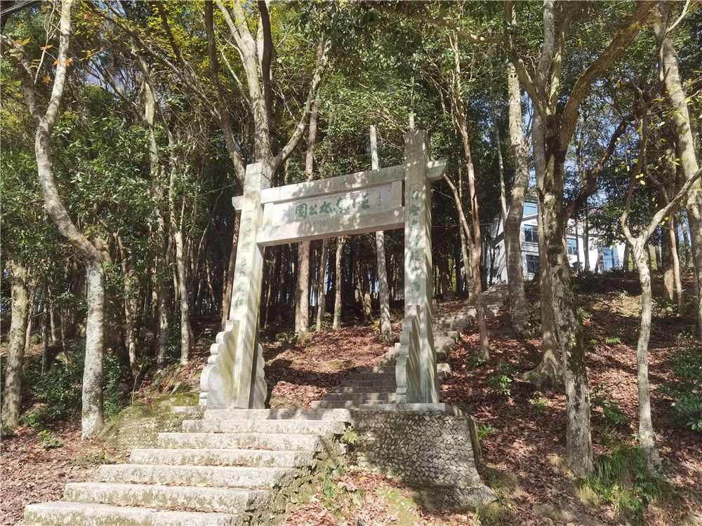 温州10个！浙江第一批古树名木文化公园名单公布