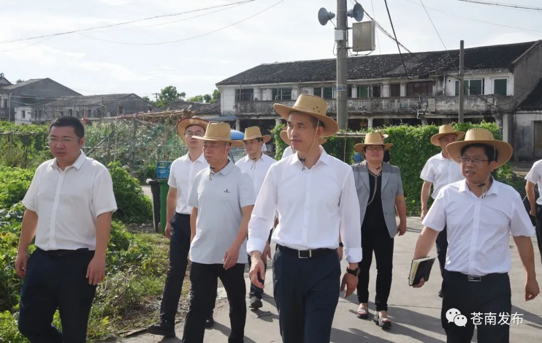 苍南县委书记张本锋赴金乡炎亭督查防汛防台工作迅速进入临战状态不折