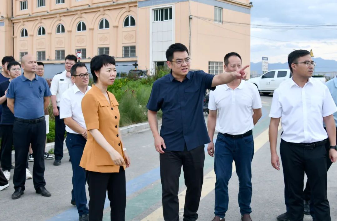 龙港市委书记何宗静督查防汛防台工作落实落细各项措施压紧压实各方