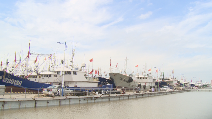 船进港人上岸，温州2284艘渔船全部归港避风