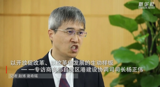 商务部自贸区港建设协调司司长杨正伟谈自贸试验区十年建设