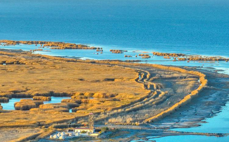 新疆博斯腾湖：浩瀚芦苇荡中的金色深秋