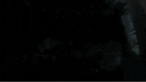 繁星入海！温州多地现“蓝眼泪”景观！