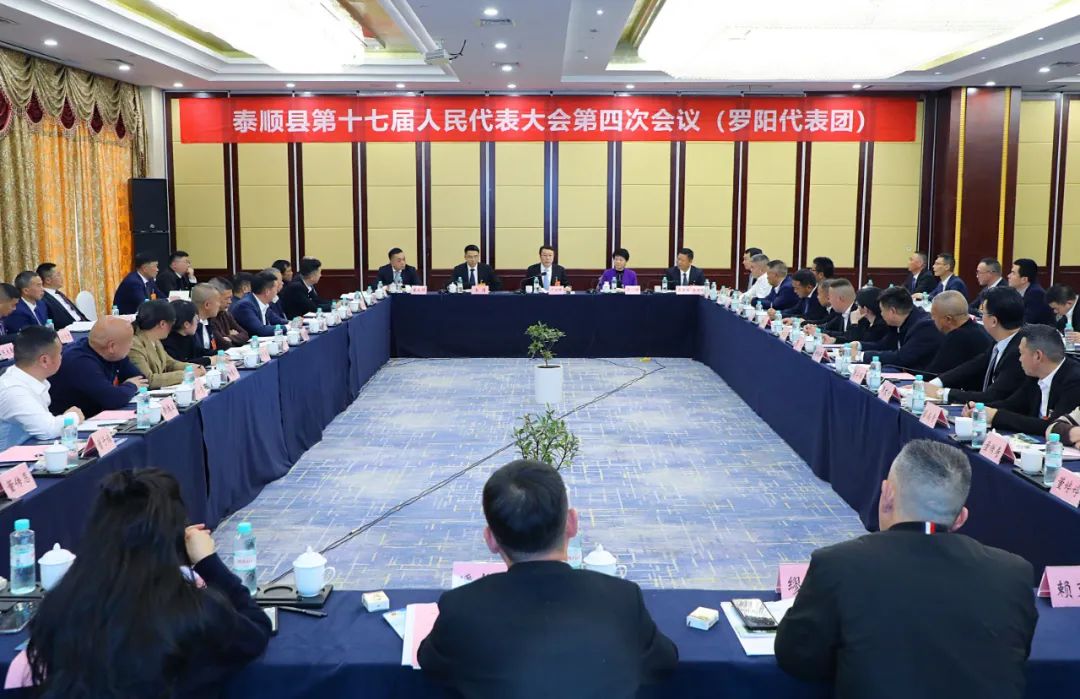 泰顺县委书记丁熠锋参加罗阳代表团审议：坚定扛起县域发展中心担当-新闻中心-温州网