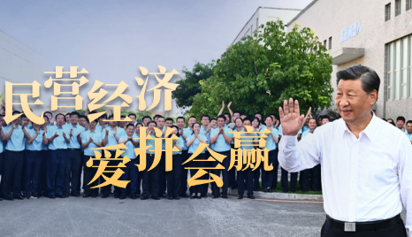 总书记关心的事丨民营经济爱拼会赢