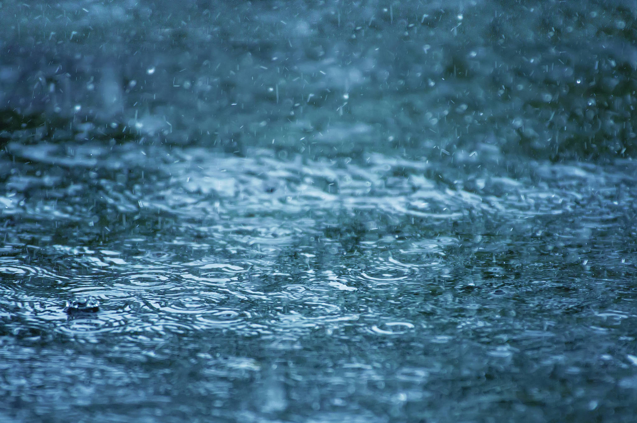 温州今夜明晨风雨雷齐上阵 冷暖空气“交手”气温陡降