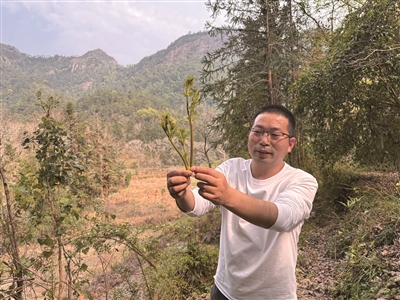 春日山野“打野”忙 专家提醒：野菜虽鲜美，辨别要谨慎