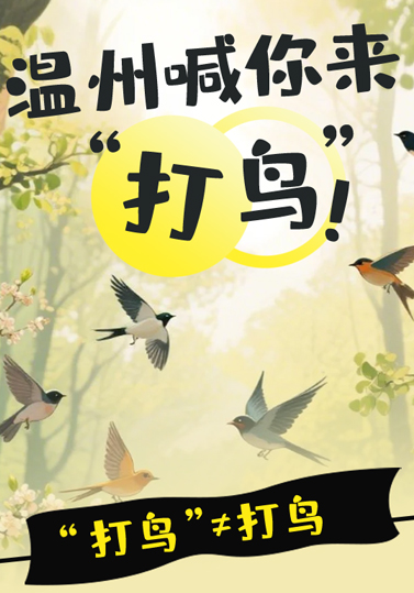 ͼףݺ񡱣