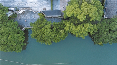 这座“江苏大员”点赞的依绿园 如今是展馆和“慢时光”打卡地