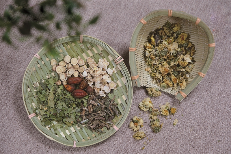 明天入伏,这份防暑养生茶饮攻略请收好