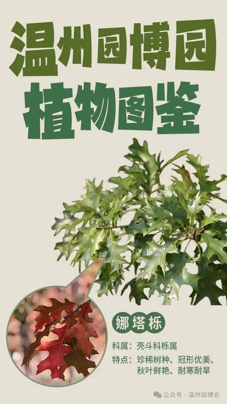 �������ġ����ؼα�����Ҫ���ﶬ�Ŵ��У�