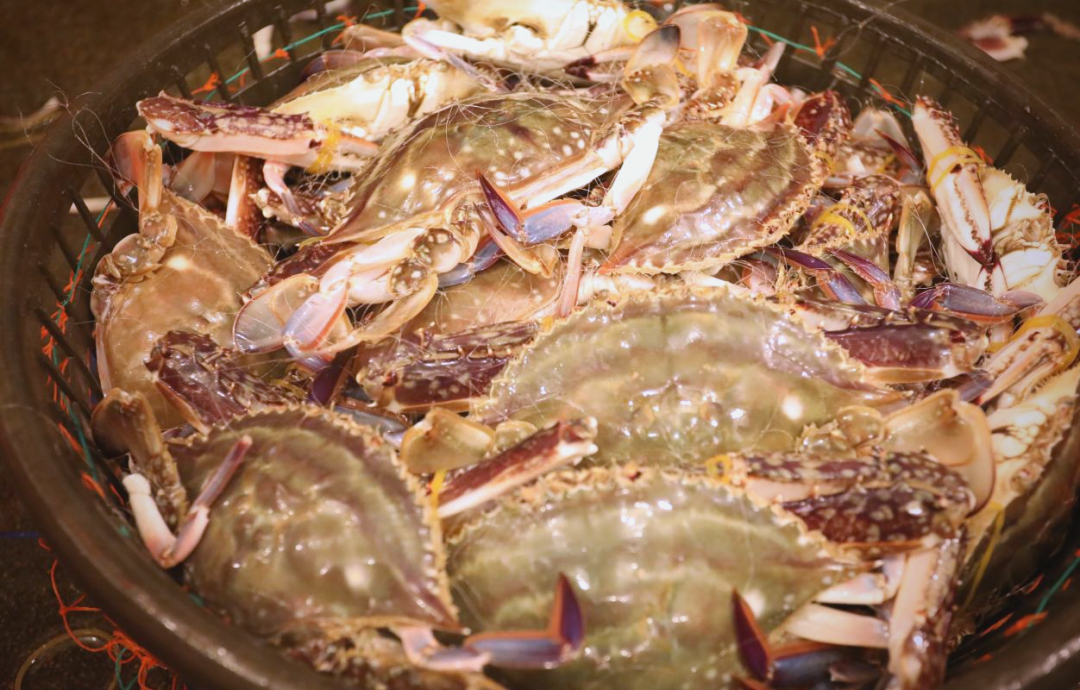 һʡ賿 ʼ۸߸߶Ʒն