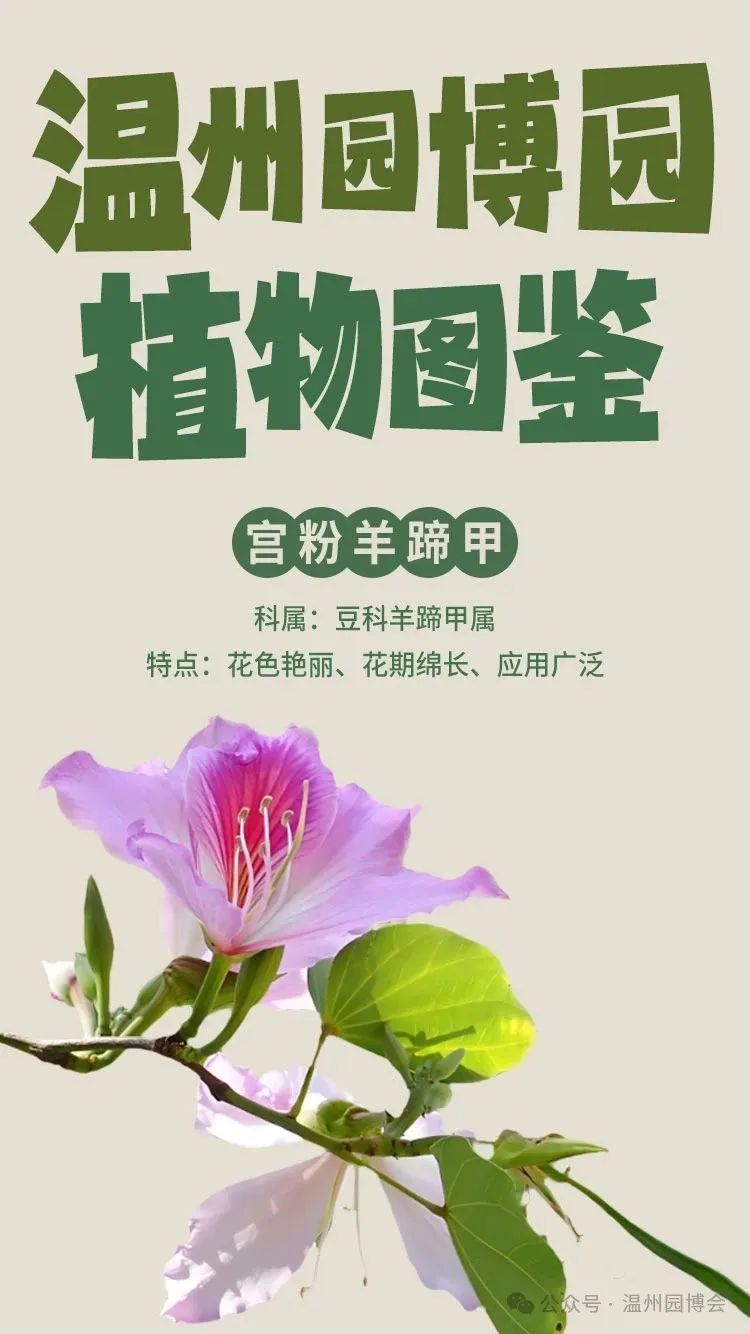 �����䡰�֡���ȴ�����˽���