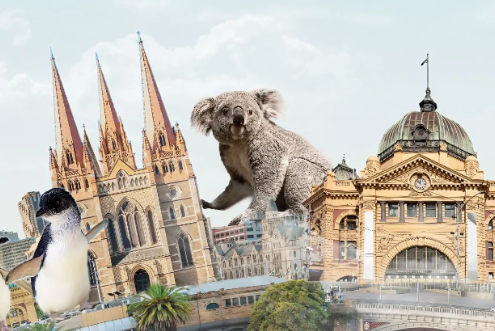 温州往返墨尔本,经深圳中转!12月22日首航