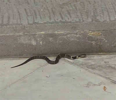 ɽ⾪۾ רѣҹرܿݴʯ