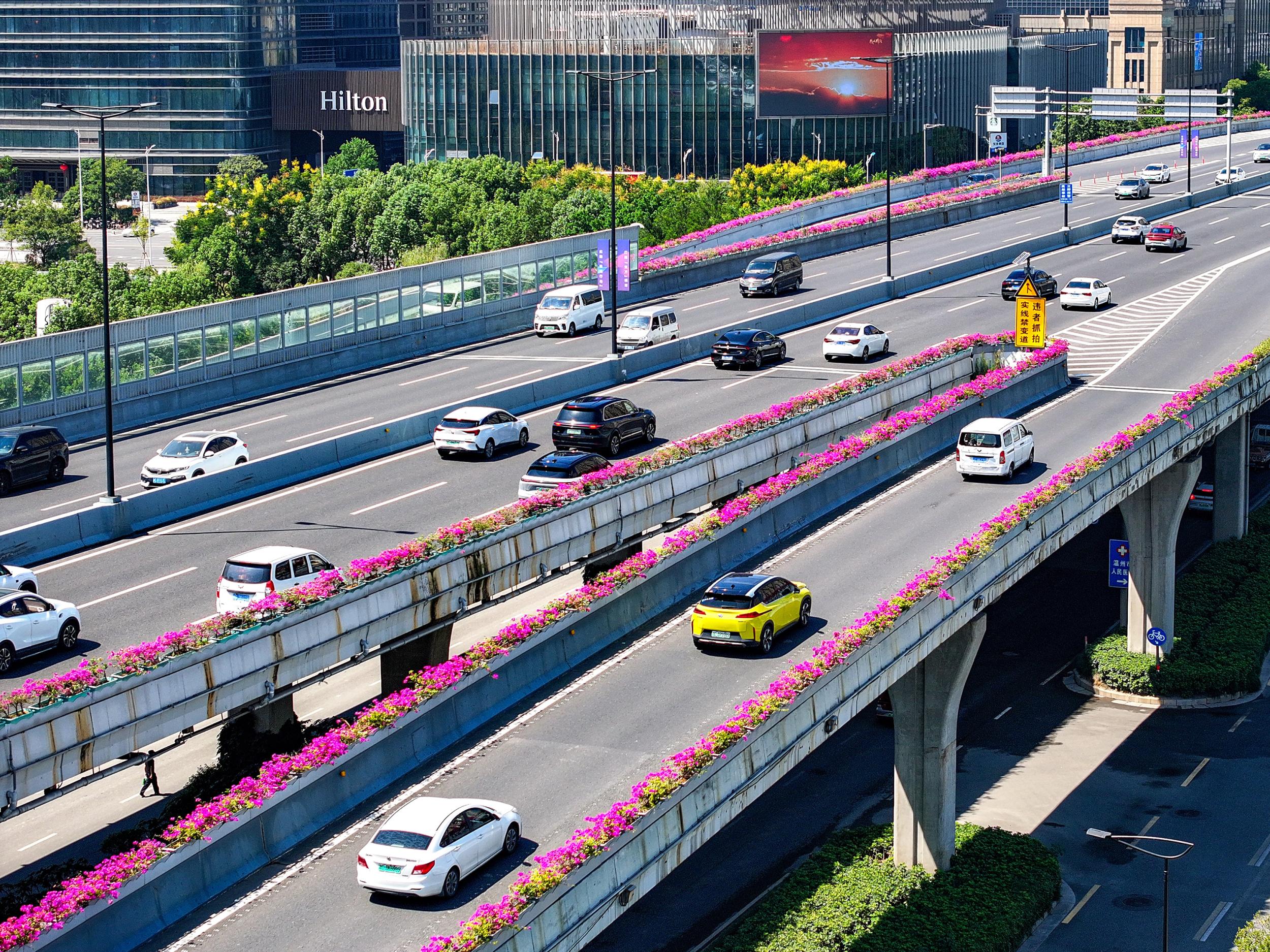 秋风启!温州进入“色彩绚烂模式”