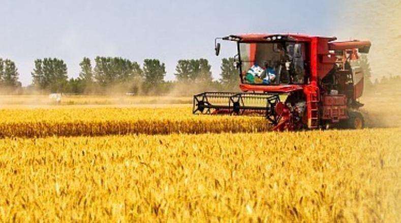 һ麣ʮ塱ʱũҵũչɾ