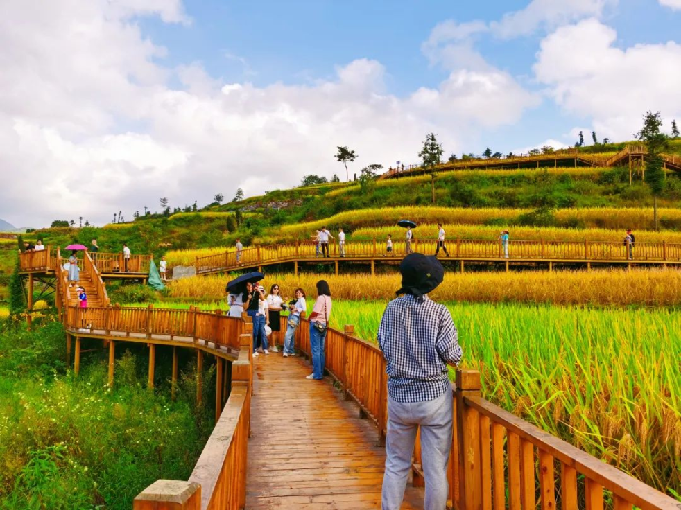 պ¶ݵĸʲôʱỺ⣿