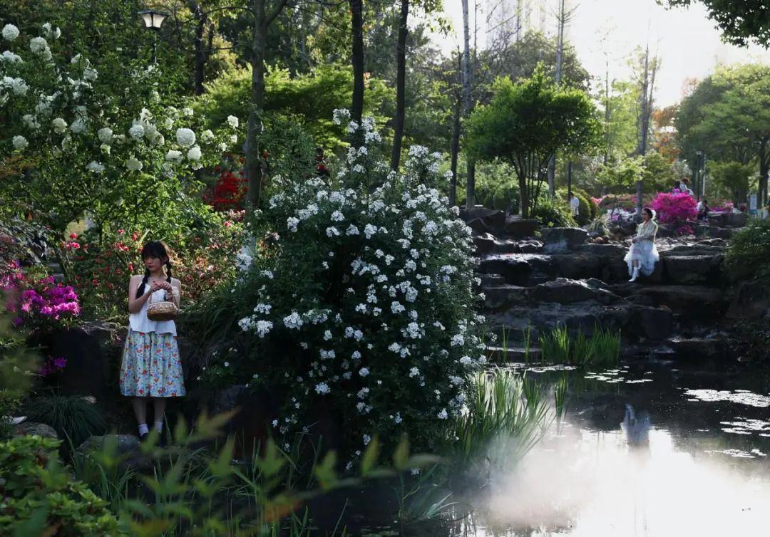 Ҳ̬ܳͻ¹ǡһ԰һƷ̬»