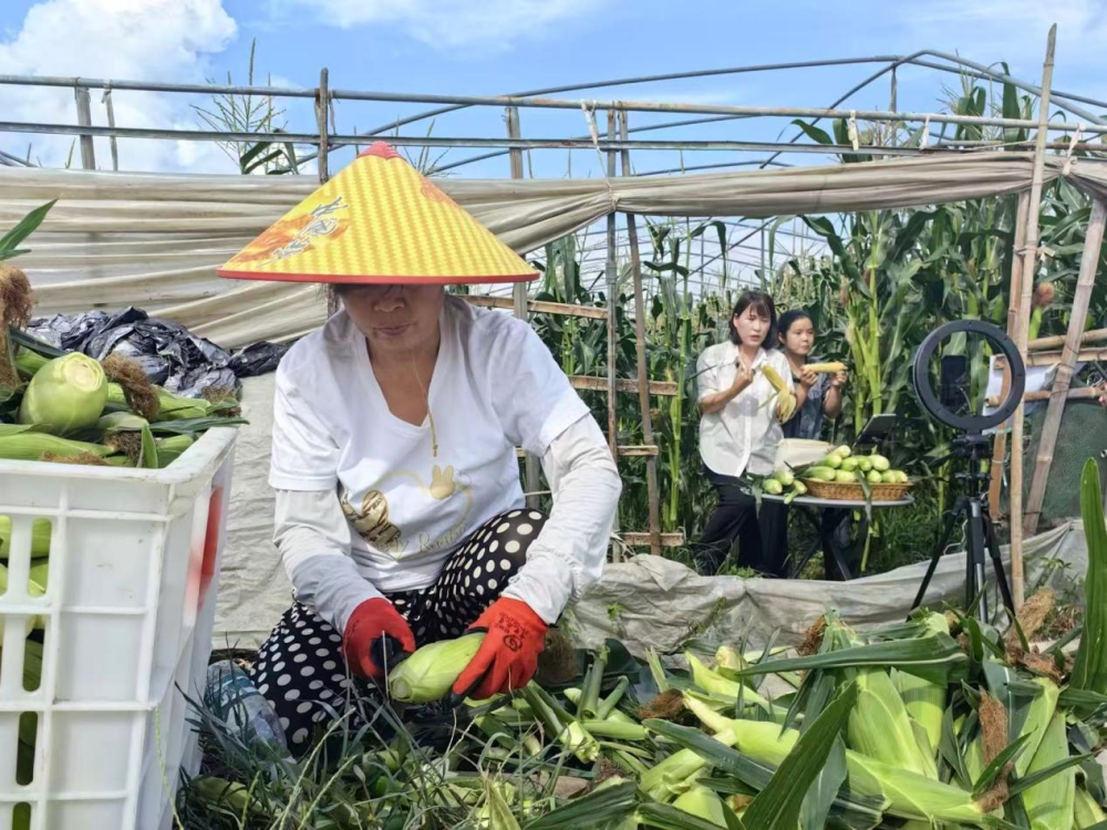 »ͻˣ𰲲ݸ繲ѡʡͰ