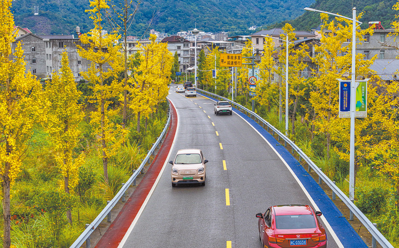 一路金黄铺秋景