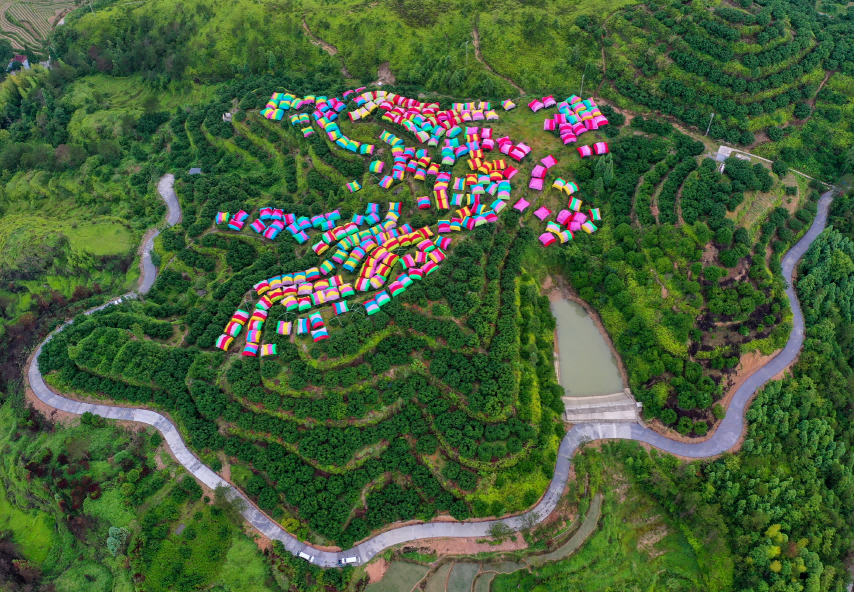 “农”墨重彩描画和美乡村新图景