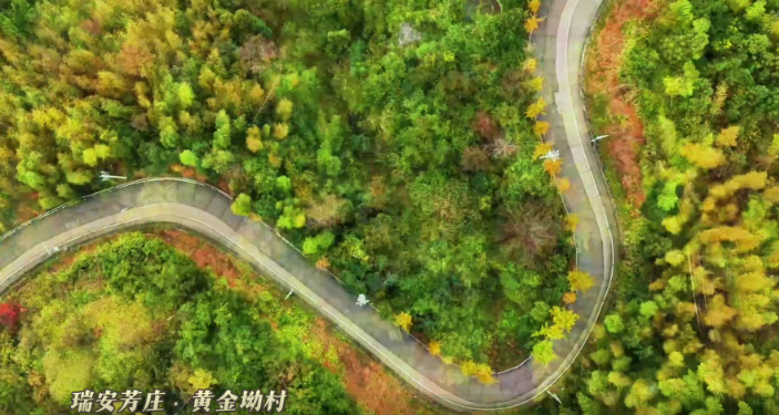 溫州瑞安:秋日山村美如畫