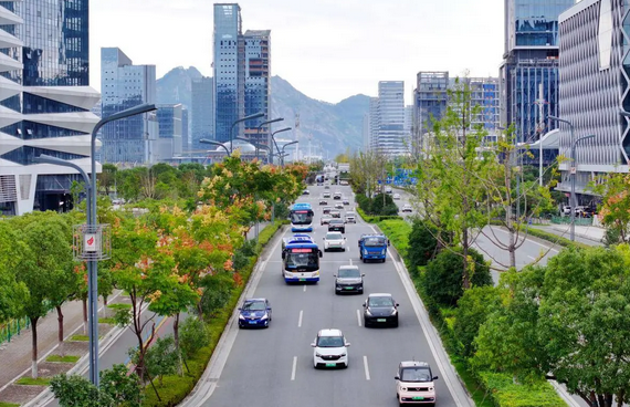 一条路如何重塑城市发展骨架 沿着温州大道看龙湾发展