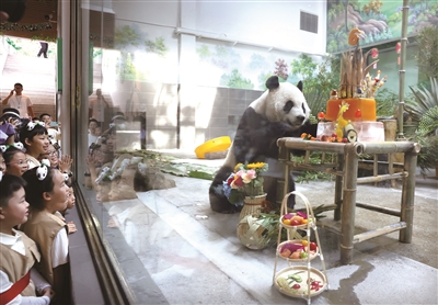 秋游温州动物园 邂逅萌宠与醉美秋色