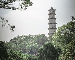 诗屿、琴屿都是“心灵家园” 塑造传播“世界双屿”文化IP