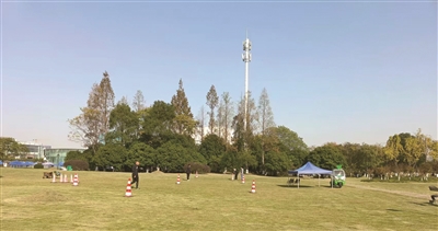 걺һ̵ ѧӹ㳡ƺ⣬̫