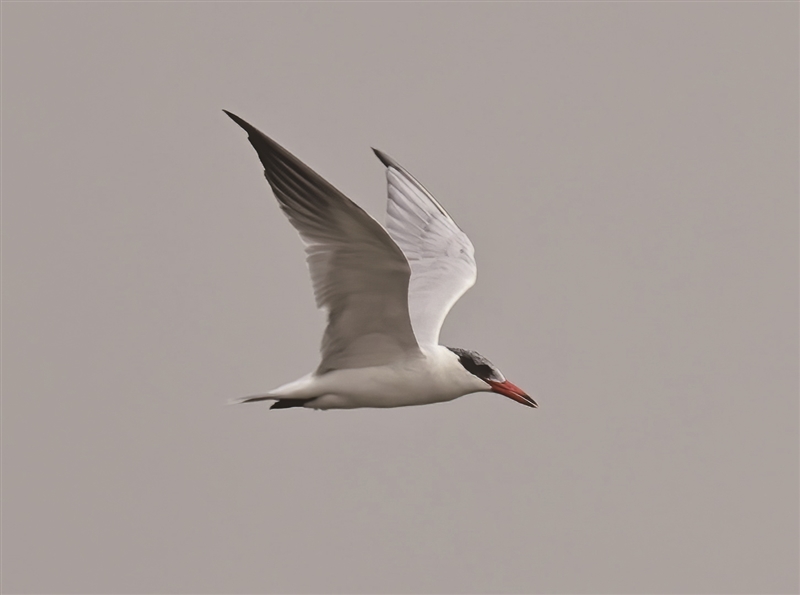 ͷ񵺡14ֲֶ״ηʯַײ ŷˮ̡Ҳ򿨡