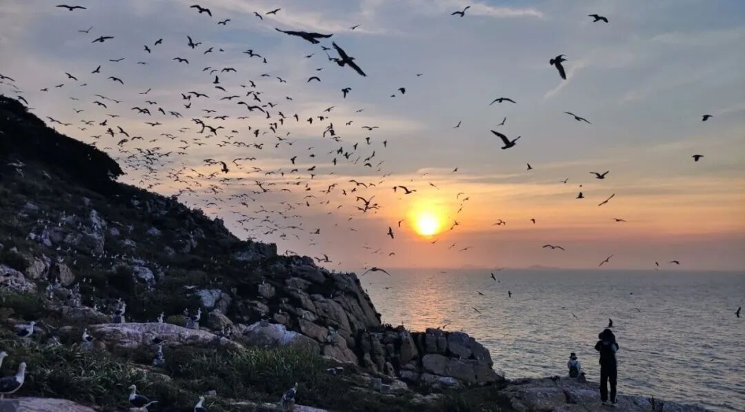 ͷϱɽֲ¼14 ʯַײΪ¼¼