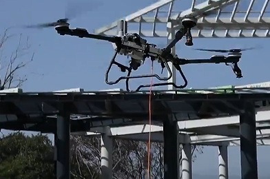 ԰԰¼ټ̽ؽеġڿƼ