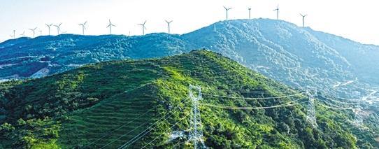 三个样本看苍南绿色蝶变