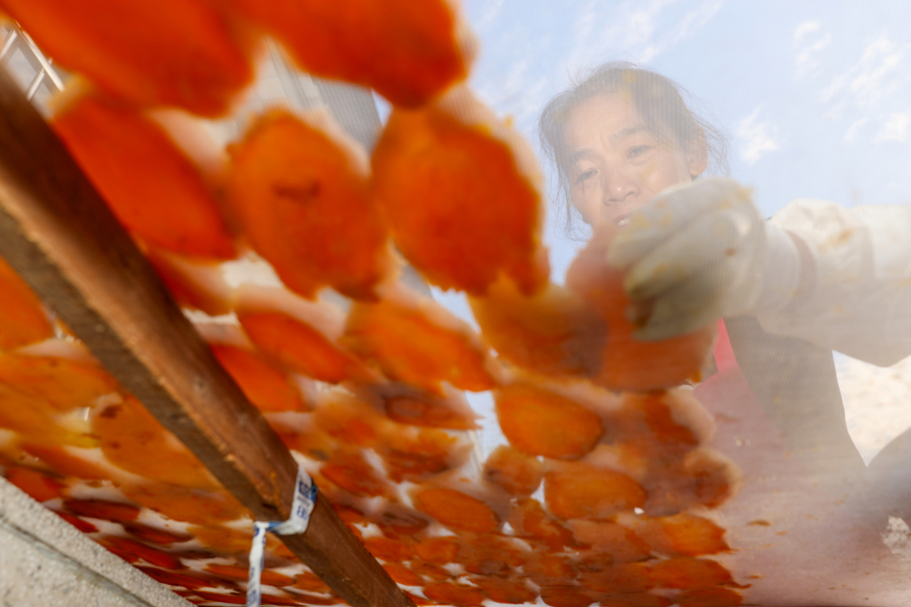 温州这里“番薯枣”飘香