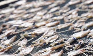 宝藏温州,冬天就爱这一口“土”味