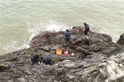 地质“铁军”化身绿色卫士,用专业力量守护生态家园