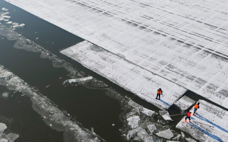 哈尔滨:采冰江上