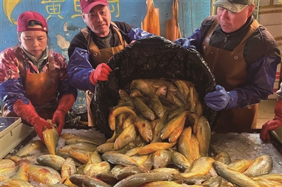“洞头味道”串起渔家共富链
