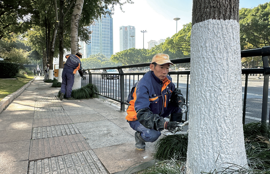 ��æ���� ����ӭ����