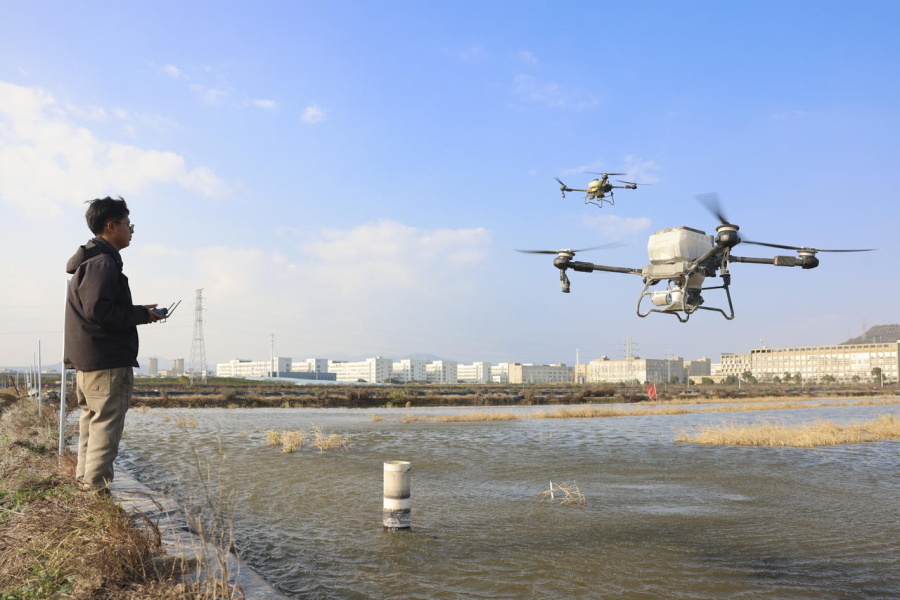 “低空经济”虾尝鲜!乐清“稻渔轮作”迈入智慧时代