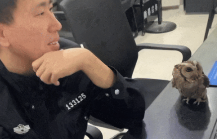 ���ȡ���ϰ�Ӿ�Ա�����ߣ�걺��񾯾������Ҷ���������������^