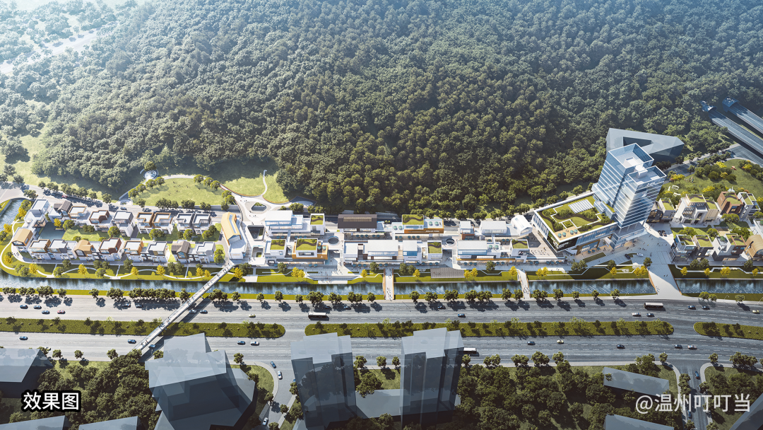 还在景山脚下!温州市区新的花鸟市场来了